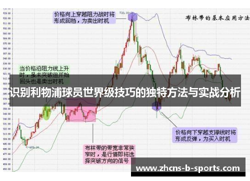 识别利物浦球员世界级技巧的独特方法与实战分析 识别利物浦球员世界级技巧的独特方法与实战分析
