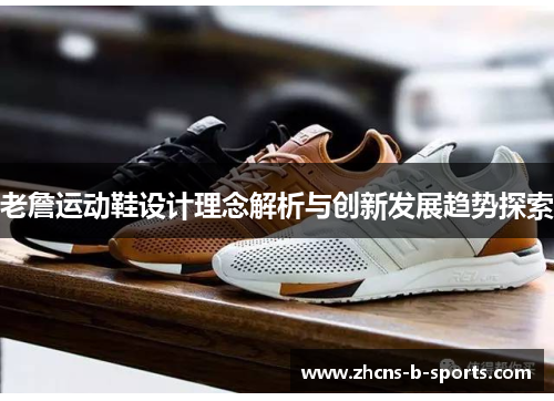 老詹运动鞋设计理念解析与创新发展趋势探索